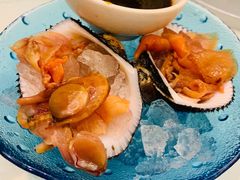 赤贝-新洪记·丽久饭店(铁西店)