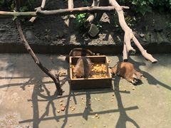 -常州淹城野生动物世界