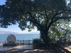 -南诏风情岛
