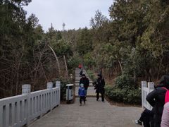 -云龙山