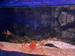 -珠海长隆海洋王国