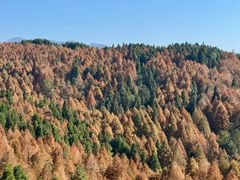 -山王坪喀斯特国家生态公园