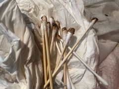 -宠爱国际动物医院·疑难骨科·心肾内科·皮肤科(太阳宫店)
