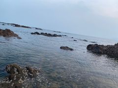 -八大关景区