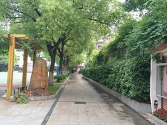 -上海市静安区教育学院附属学校(江宁校区)