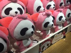 -熊猫屋(宽窄巷子景区店)