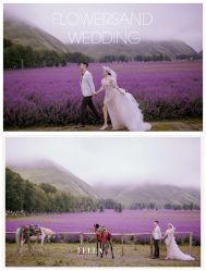 -费拉摄影(天廊T66店)