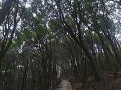 -苏州上方山国家森林公园
