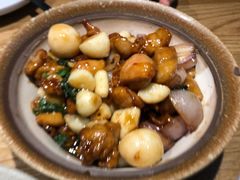 金不换三杯鸡-潮粥荟·潮汕砂锅粥(槐房万达店)