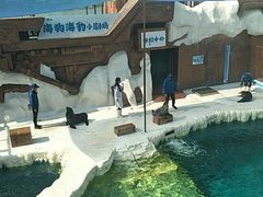 -秦皇岛乐岛海洋王国