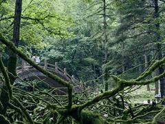 -洛阳白云山景区