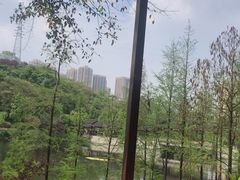 -重庆彩云湖湿地公园