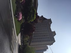 星河湾酒店(浦东店)-上海浦东星河湾酒店