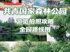 -上海共青森林公园