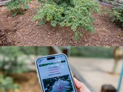 -洛阳市隋唐城遗址植物园