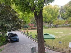 -申粤轩酒楼·三十年粤菜经典(丁香花园店)