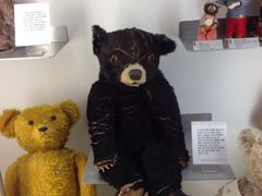 -济州岛泰迪熊博物馆