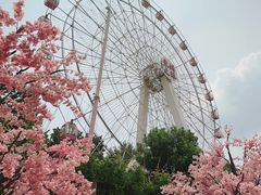 -东湖生态旅游风景区