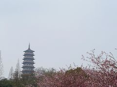 -观音山
