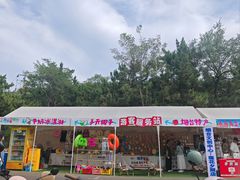 -养马岛旅游度假区