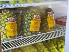 -雾与山茶(大禹城店)