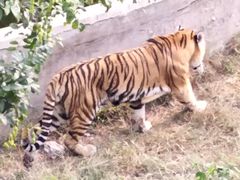 -石家庄市动物园