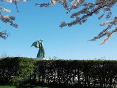 -美人鱼