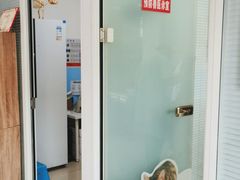 -瑞派福兴宠物医院犬猫全科·骨科·中西医结合(河东店)