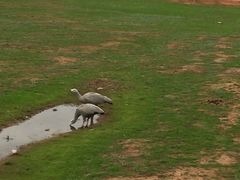 -威勒比开放式动物园