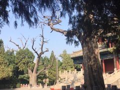 -尧庙景区