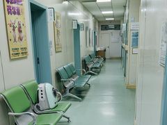 -北京观赏动物医院·24小时大型综合·猫专科·异宠专科