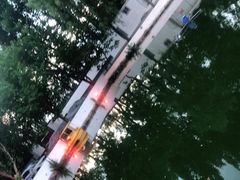 -向外鱼乐·土菜·虹鳟鱼