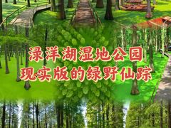 -渌洋湖湿地公园