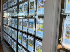 -Dooley's Premium Ice Cream