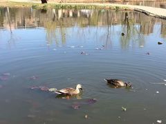 -前关湿地公园