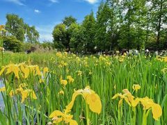 -云漫湖生态度假公园