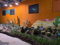 -正佳雨林生态植物园