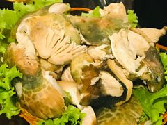 -菌海森林·非遗野生菌火锅(西山区滇池路摩根道店)