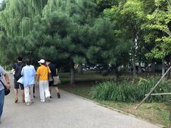 -长白岛森林公园