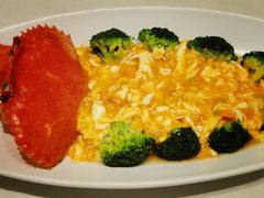 -蝶园·装修中(BFC外滩金融中心店)