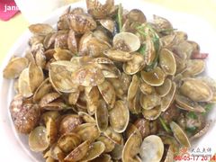 辣炒蛤蜊-海岛渔村大酒店(云霄路店)