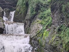 -牛背梁国家森林公园