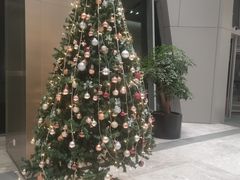 -安肯心理咨询(长宁旗舰店)