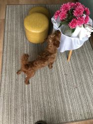 店内环境-IMEET美甲美睫工作室