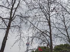-东海咖啡馆