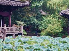 -绍兴鲁迅故里·沈园景区