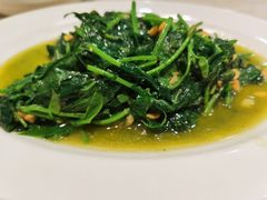 炒番薯叶-长平老姿娘夜粥(平东一街店)