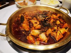 -涿派·炝锅鱼(涿州店)
