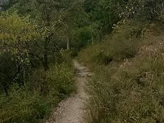 -妙峰山风景名胜区