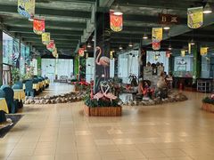 -海南热带野生动植物园